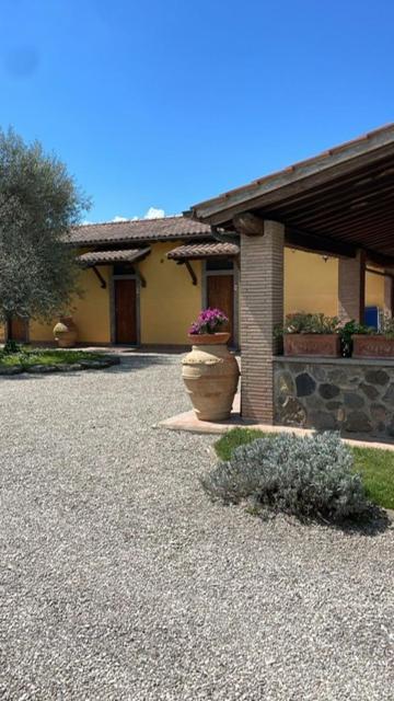 Agriturismo Arlena Bolsena Ngoại thất bức ảnh