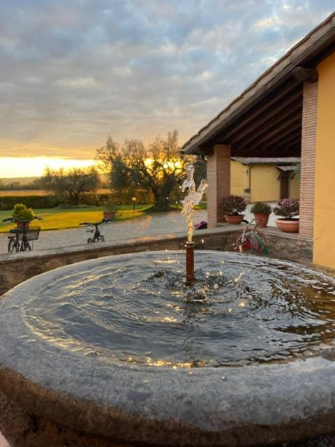 Agriturismo Arlena Bolsena Ngoại thất bức ảnh