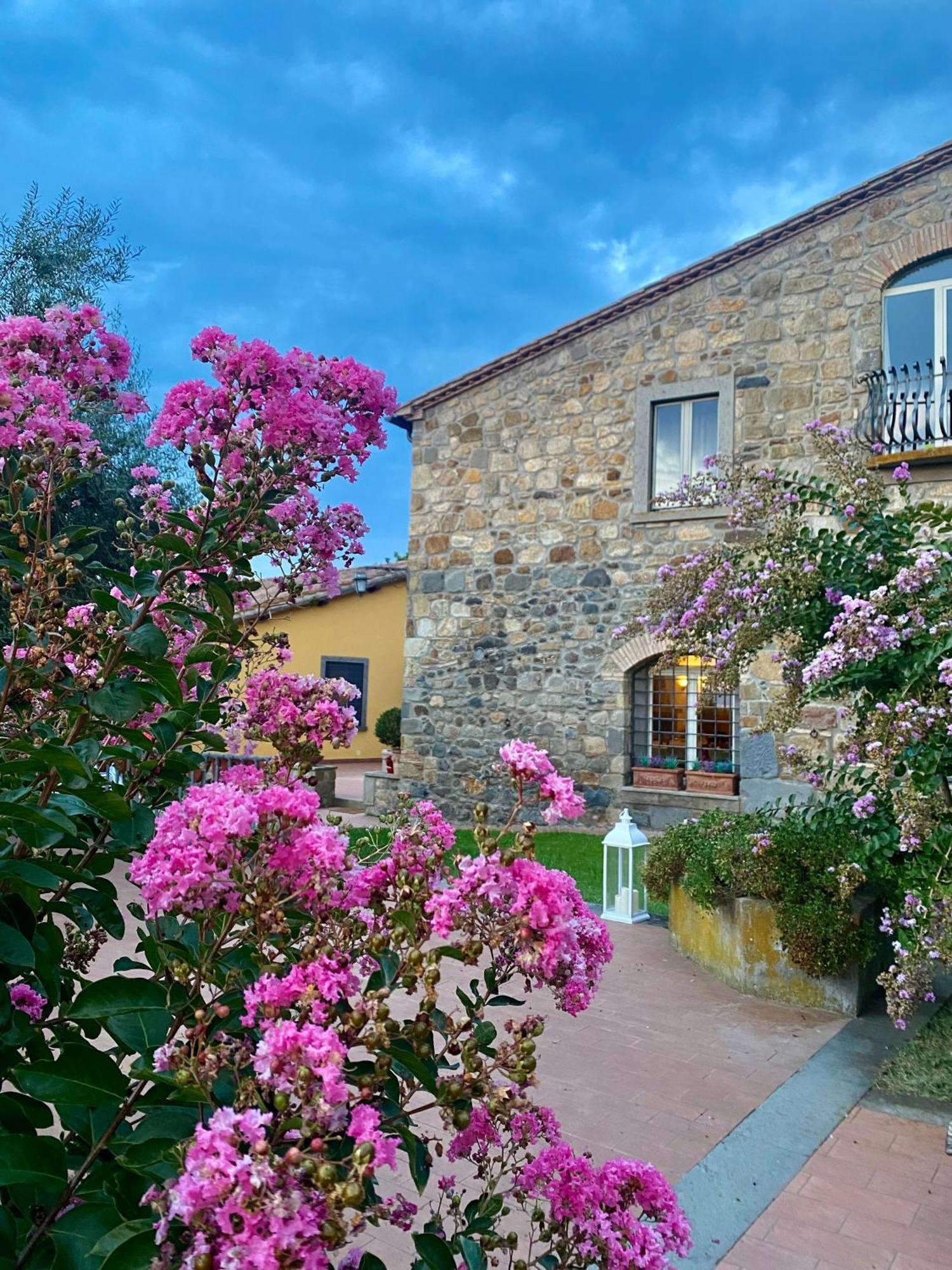 Agriturismo Arlena Bolsena Ngoại thất bức ảnh